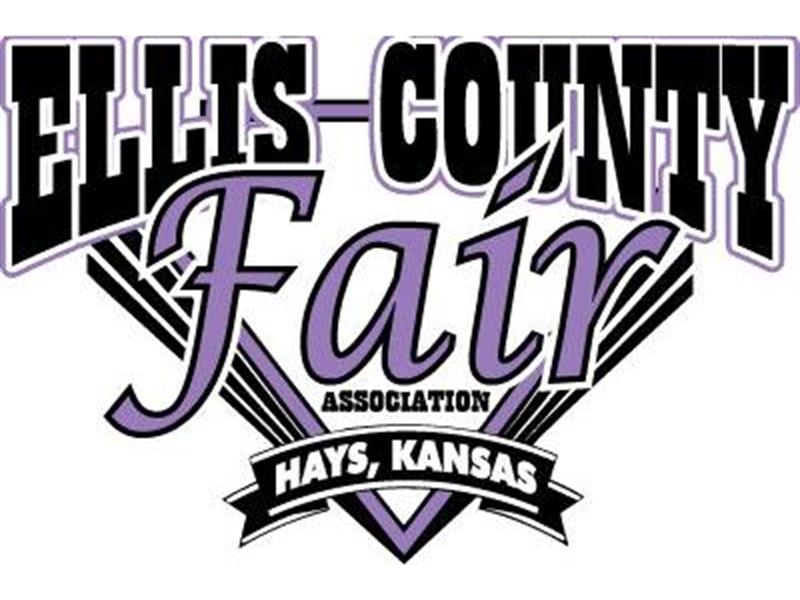 Logo for 2024 Ellis County Fair