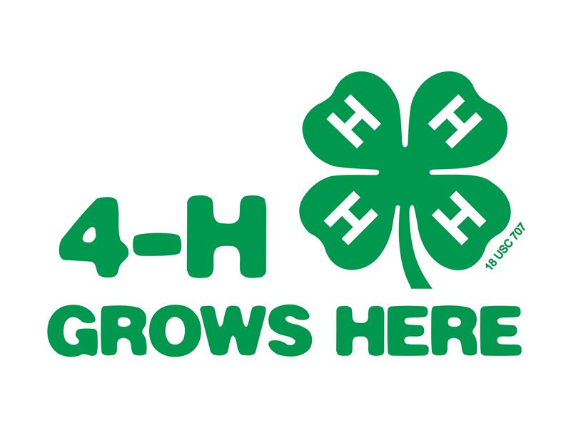 Logo for 2024 Harding County Fair